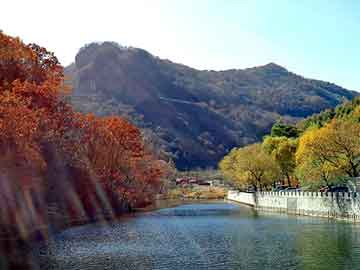 澳门二四六天天彩图库，途观黑心棉